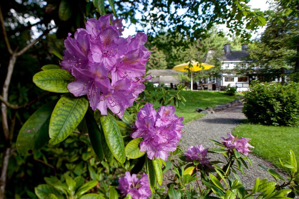 Romantik Hotel Stryckhaus Willingen  Exteriér fotografie
